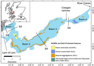 Quantifying Marine Sedimentary Carbon: A New Spatial Analysis Approach Using Seafloor Acoustics, Imagery, and Ground-Truthing Data in Scotland